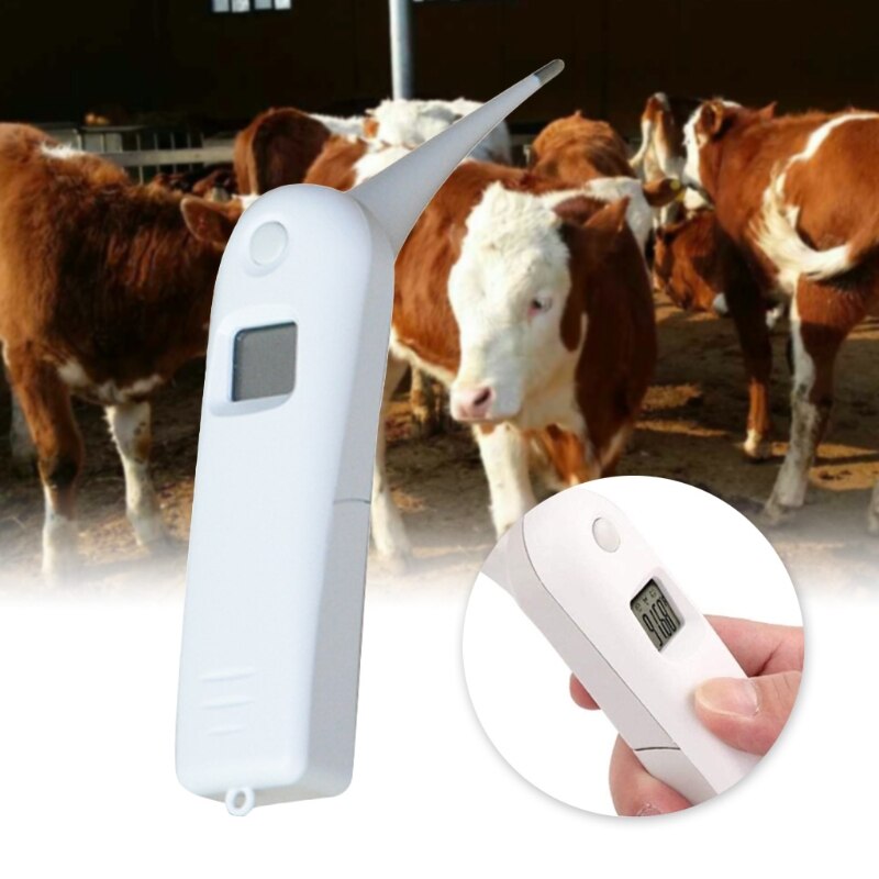 Thermomètre avec sonde pour animaux de compagnie, pour une détection précise de la température, adapté aux chats et chiens, écran LCD