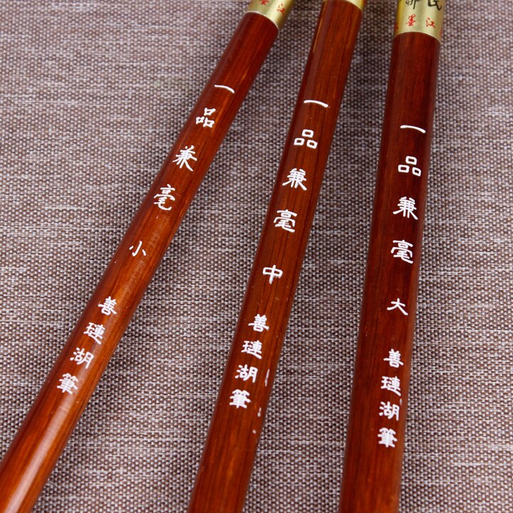 Special Offer for beginners training class