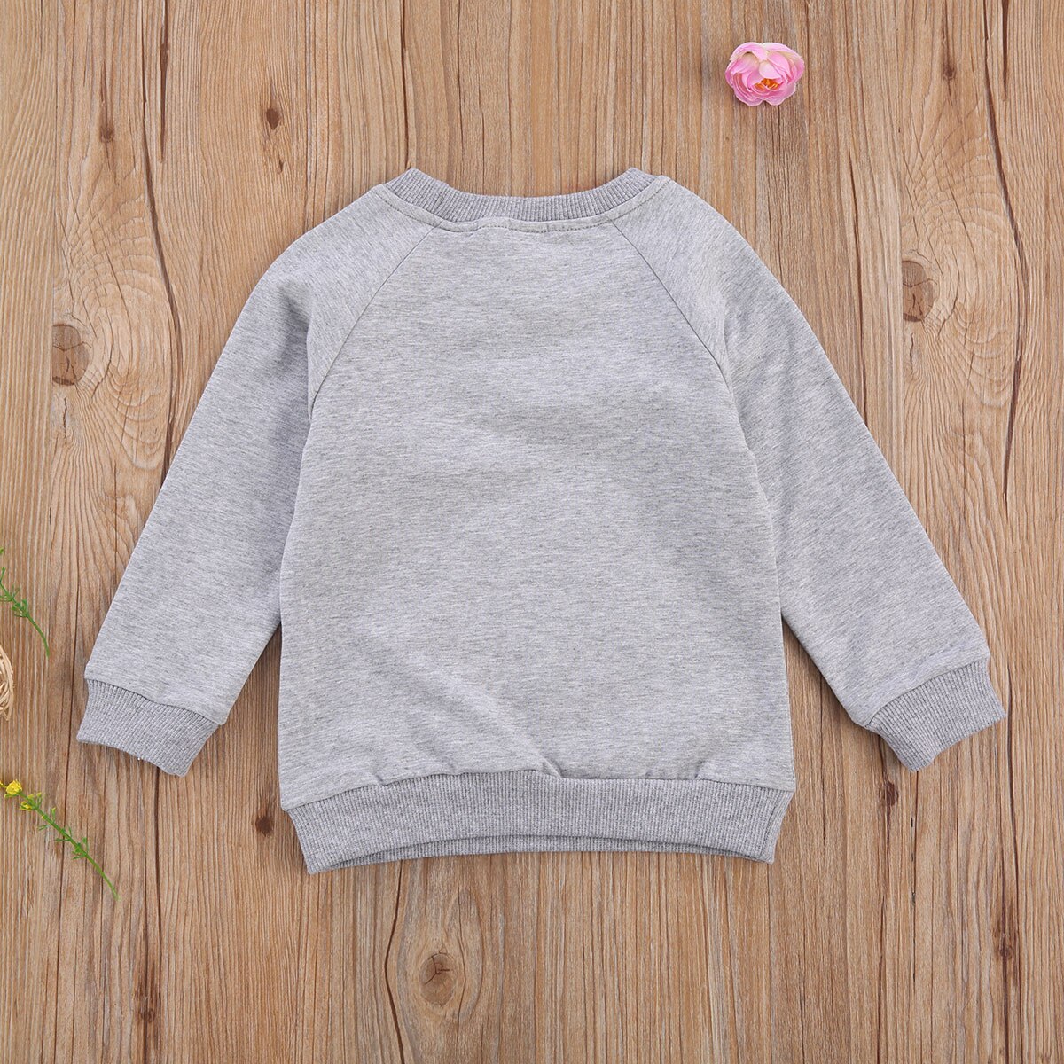 Focusnorm Herfst Peuter Kinderen Meisjes Jongens Sweatshirt Brief Afdrukken Trui Lange Mouw Mooie Tops Outfits 1-6Y