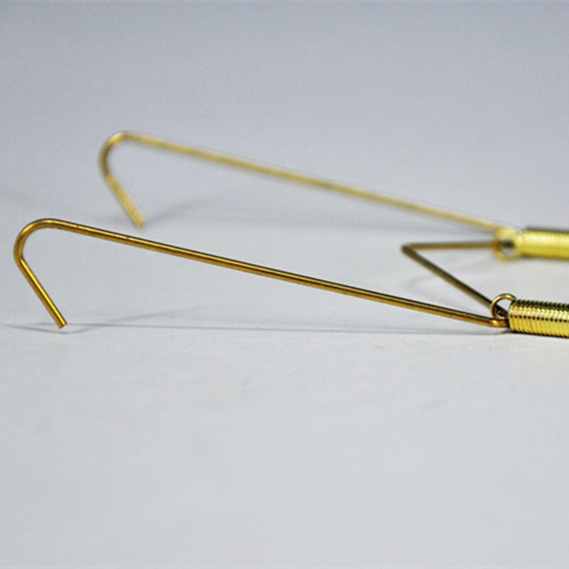 10 pcs 12 inch Golden Lente Plaat Draad Hangers voor Platen Display Wandmontage Plaat Kunst Decoratie