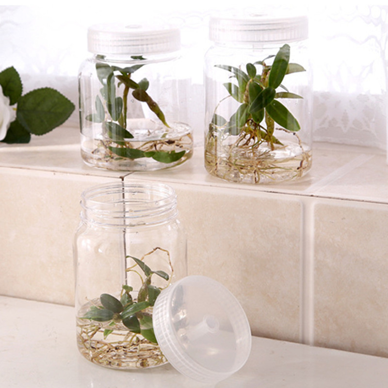 1pc 270 350mL 500mL Plants Plastic Jars For Bottle Seedling Tissue Culture Seedling High Temperature Resistance No Deformation