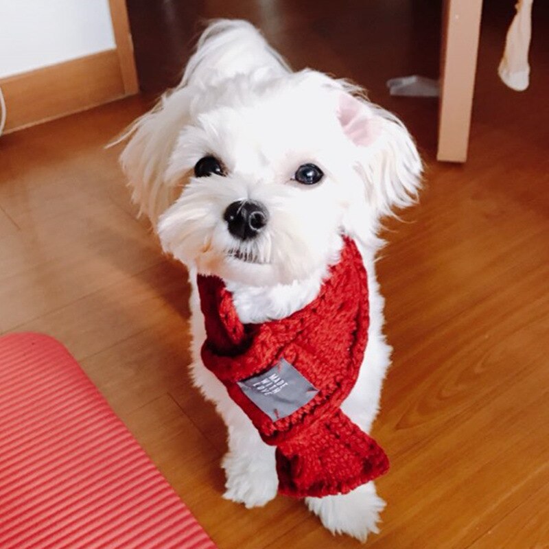Kæledyrsprodukter hund jul tørklæde uld strikning kat hvalp teddy festival dekoration hals hundetøj julekjole til hundekat: Rd / M