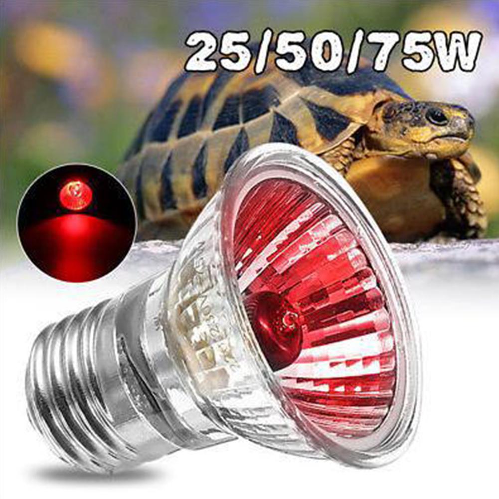Bombilla para reptiles UVA + UVB de 25/50/75/100W, lámpara de calor, para tortugas, anfibios, lagartos, controlador de temperatura