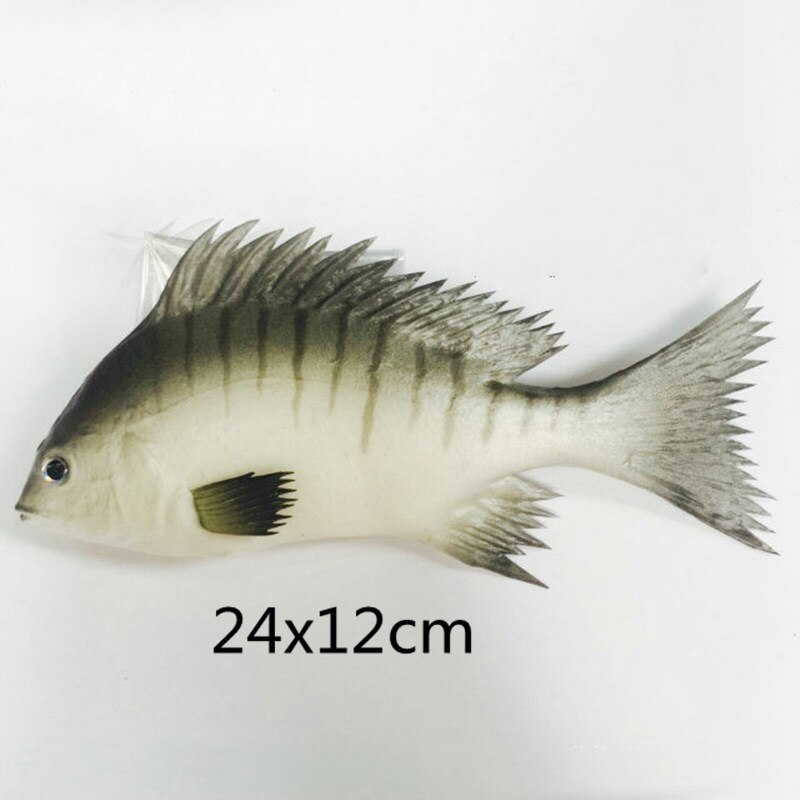 Freshwater Sea Life Animals Simulation Coelacanth Piranha Bass Fish Salmon Figure Model Lifelike Educational Toy Prop Decoration