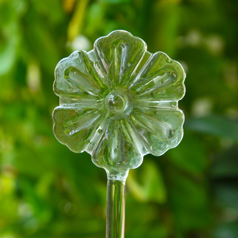 Pvc/glas självbevattningsanordningar växt blommor vattnare fågelstjärna hjärta vattenmatare automatisk vattning för inomhusträdgård: Blomma