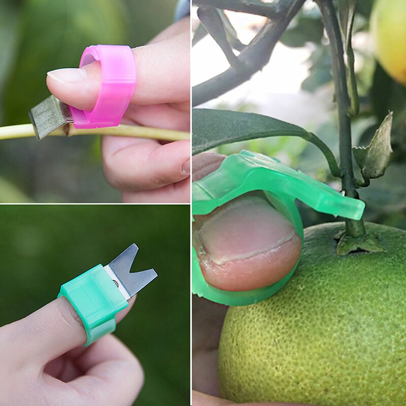 Garden Pruner By Hand Tomato Cucumber Grape Fruit Picking Garden Tools Blade Cutting Scissors Rings Gardening Tools