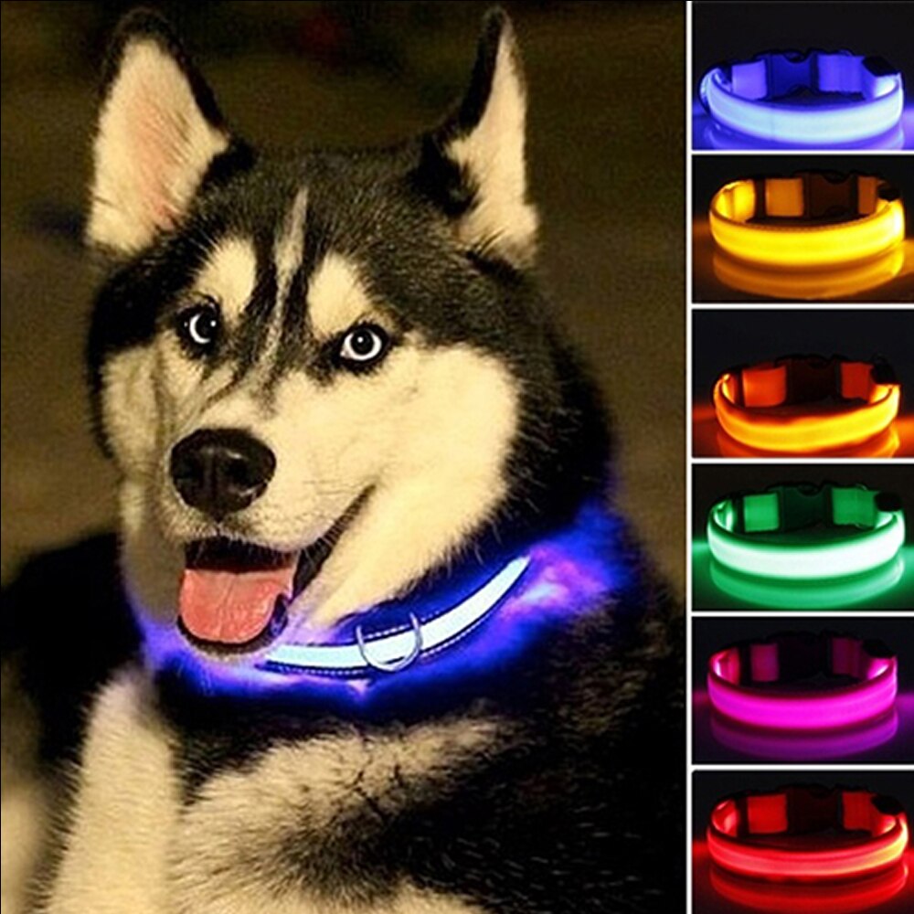 Led Veiligheid Halsband + 2 Batterijen Oplichten Huisdier Kraag Verstelbare Nylon Knippert Lichtgevende Ketting Puppy Anti-Verloren levert