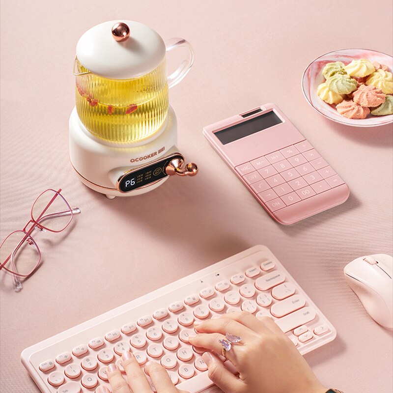 500ml Health Preserving Pot Electric Kettle Teapot Glass Stew Cup Slow Cooker Cup Heater Mug Warmer Boiled Water Pot 220V