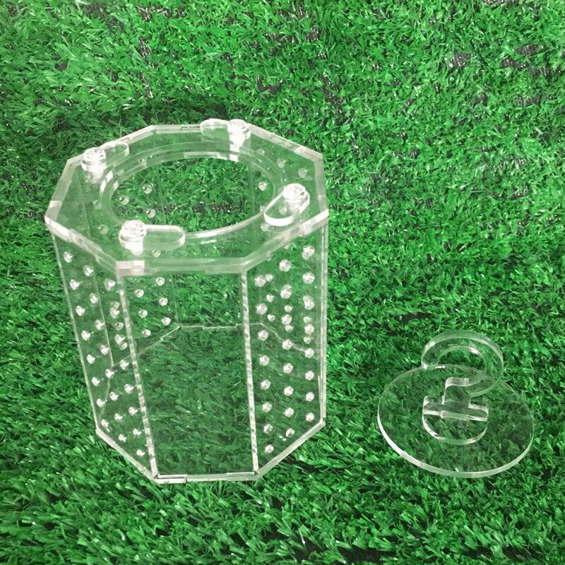 Cage de criquet de sauterelle en acrylique, nid d'insecte pour reptiles