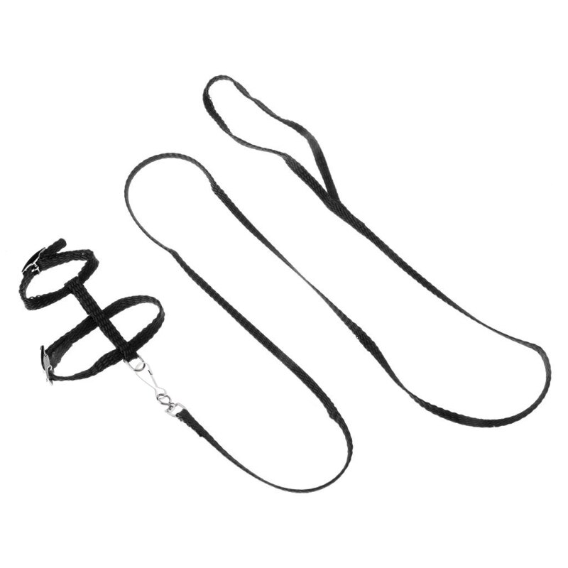 Adjustable Hedgehog Harness For Training Playing Traction Rope Cord For Pets L4MB: Black