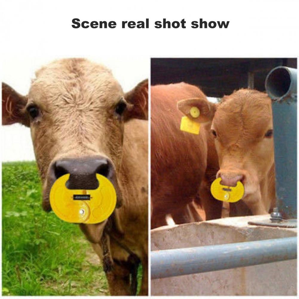 Elastische Veilig Textuur Koe Kalf Weaner Neus Doorn Stevige Kuit Neus Ring Fall-Proof Voor Farm