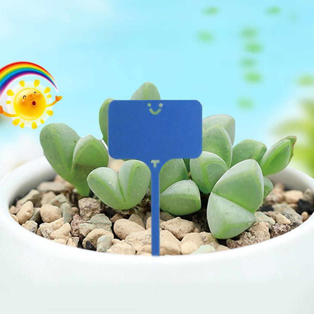 100PCS Garden Plastic Plant Labels T-Type Tags Waterproof Re-Usable Markers Record Plate Flower Vegetables Potted Sign Stakes