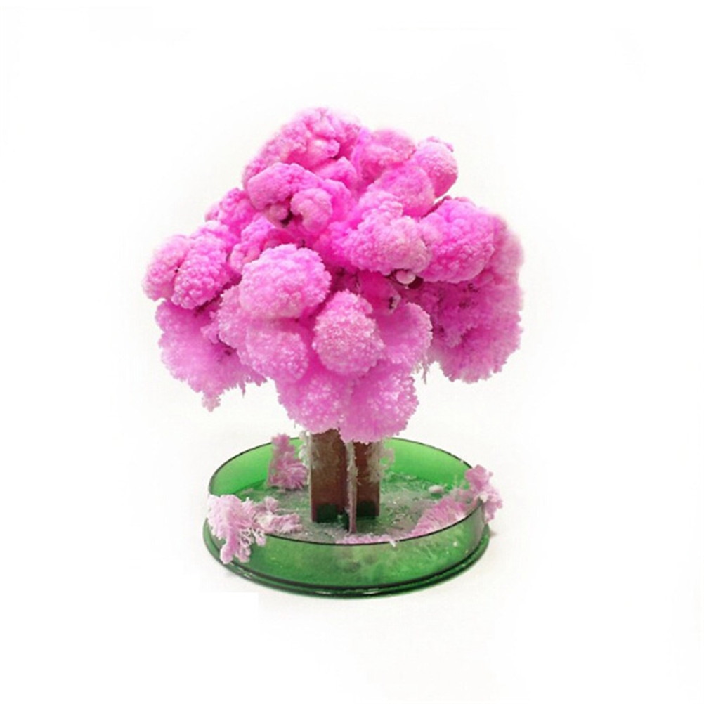 12*8cm Made in Japan Pink Magically Decorative Growing Paper Trees Magic Japanese Sakura Tree-Brand