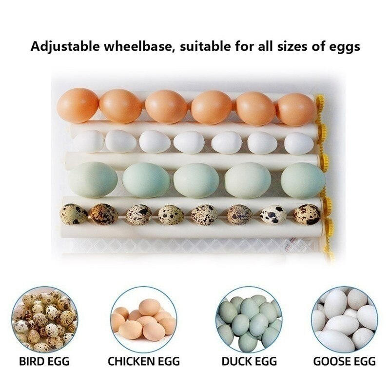 Eggs Incubator Brooder Bird Quail Chick Goose Egg Hatchery Incubator Poultry Hatcher Automatic Farm Incubation Tools With Roller
