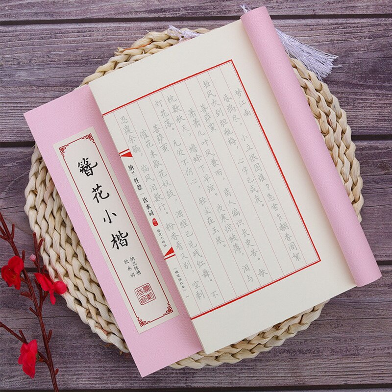 Chinese Kanji Kalligrafie Herbruikbare Harde Pen Praktijk Schrift Uitwisbare Pen Leren Hanzi Volwassenen Art Schrijven Boeken Volwassen Schrift