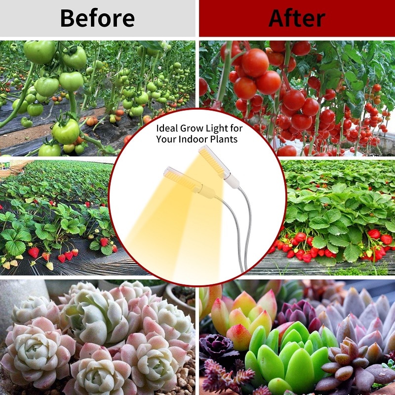 LED Plant Grow Lights Sunlike Full Spectrum 45W 50W 60W E27 Dual Head Flexible Gooseneck for Greenhouse flower Phyto lamp EU/US