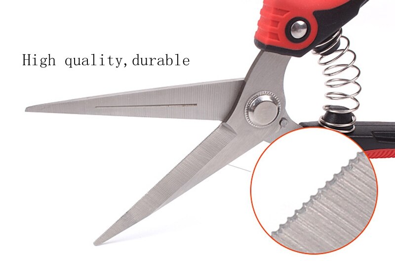 Stainless steel pointed head orchard fruit picking scissors Garden Scissor Hand pruner Branch Shear pruning Fruit Trees
