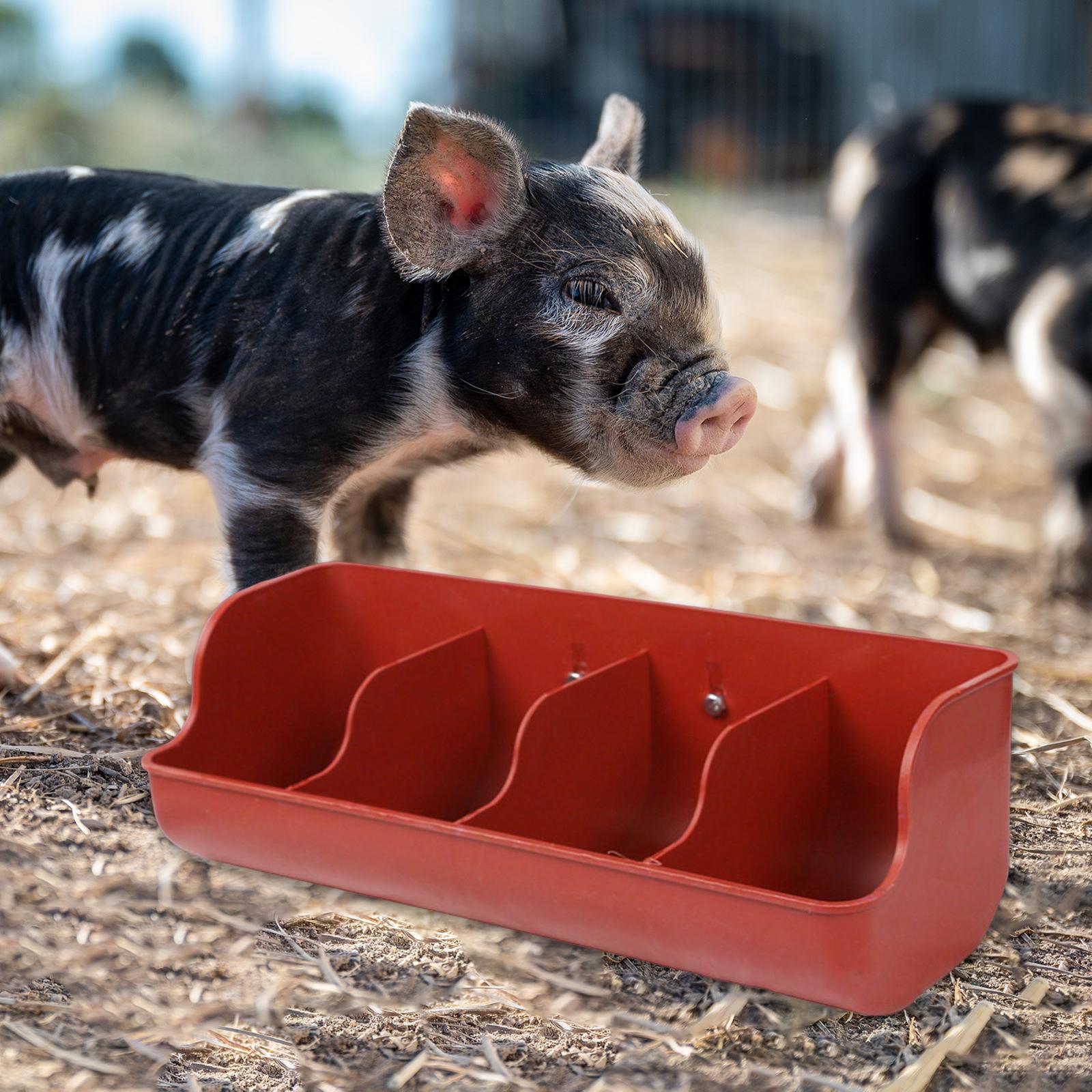 Ranura para forraje de lechones, suministros para animales de granja, plato de forraje para ganado, cuenco de alimentación, alimentador de alimentos, alimentador para cerdos, palomas, perros y cabras