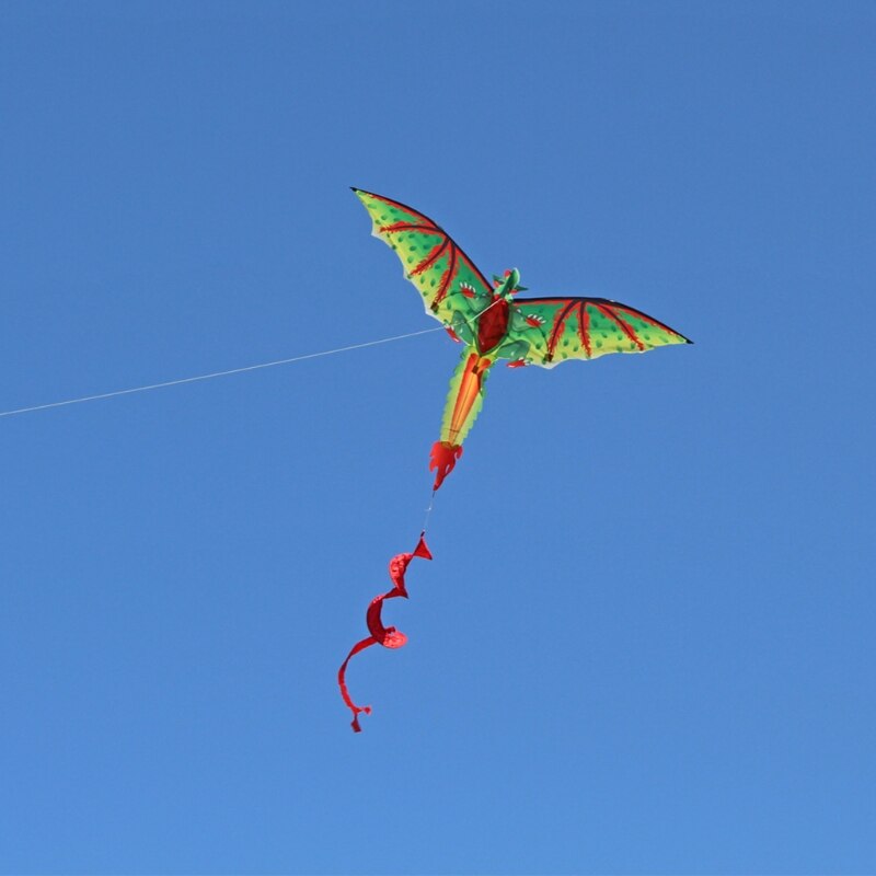 Aquiloni da spiaggia a forma di dinosauro morbido 3D di grandi dimensioni con bobina di linea intrattenimento senza cornice