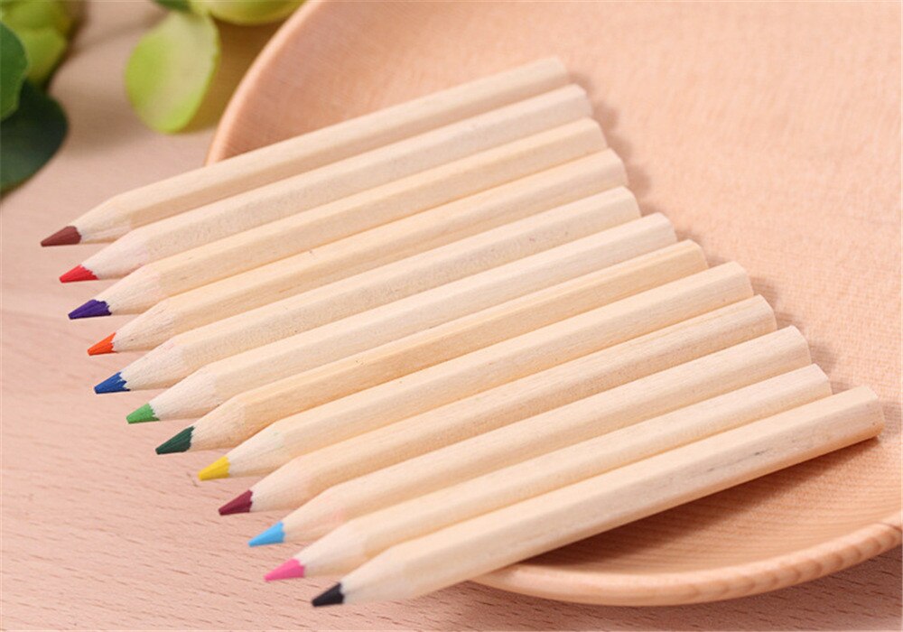 Juego de lápices pequeños de 12 colores para adultos y niños, Cubo de madera para pintar, lápices de colores especiales