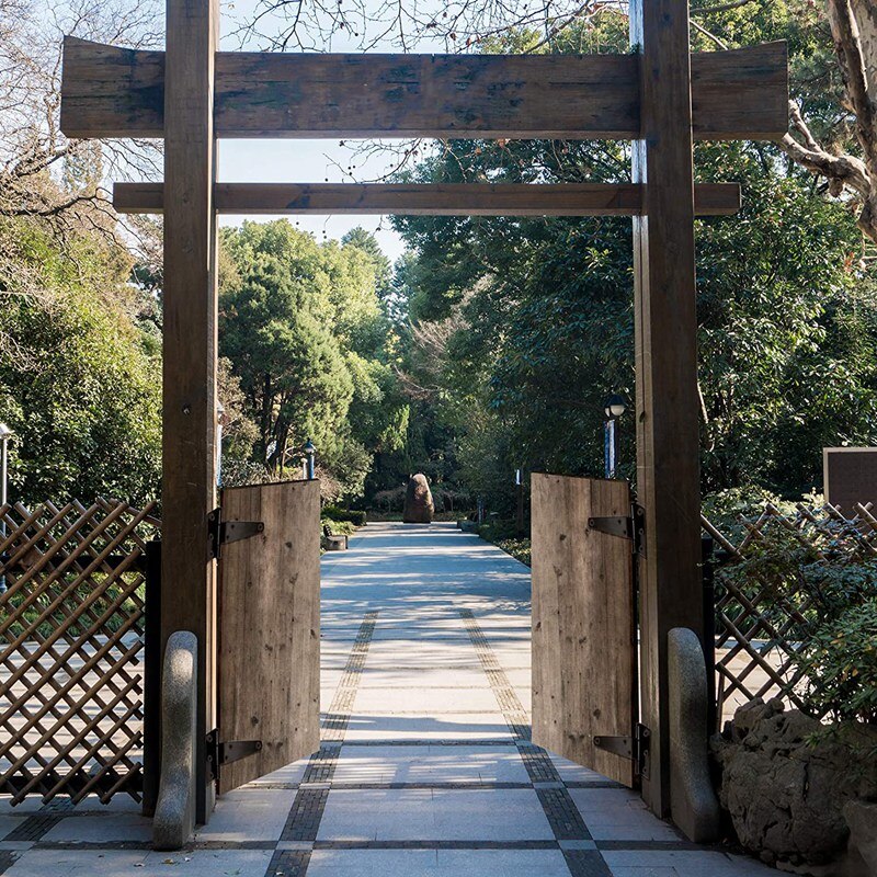 8 PCS T-Strap Hinges Heavy Duty Gate Hinges Metal Tee Hinges with Screws Barn Gates Supplies (Black,4 Inch)