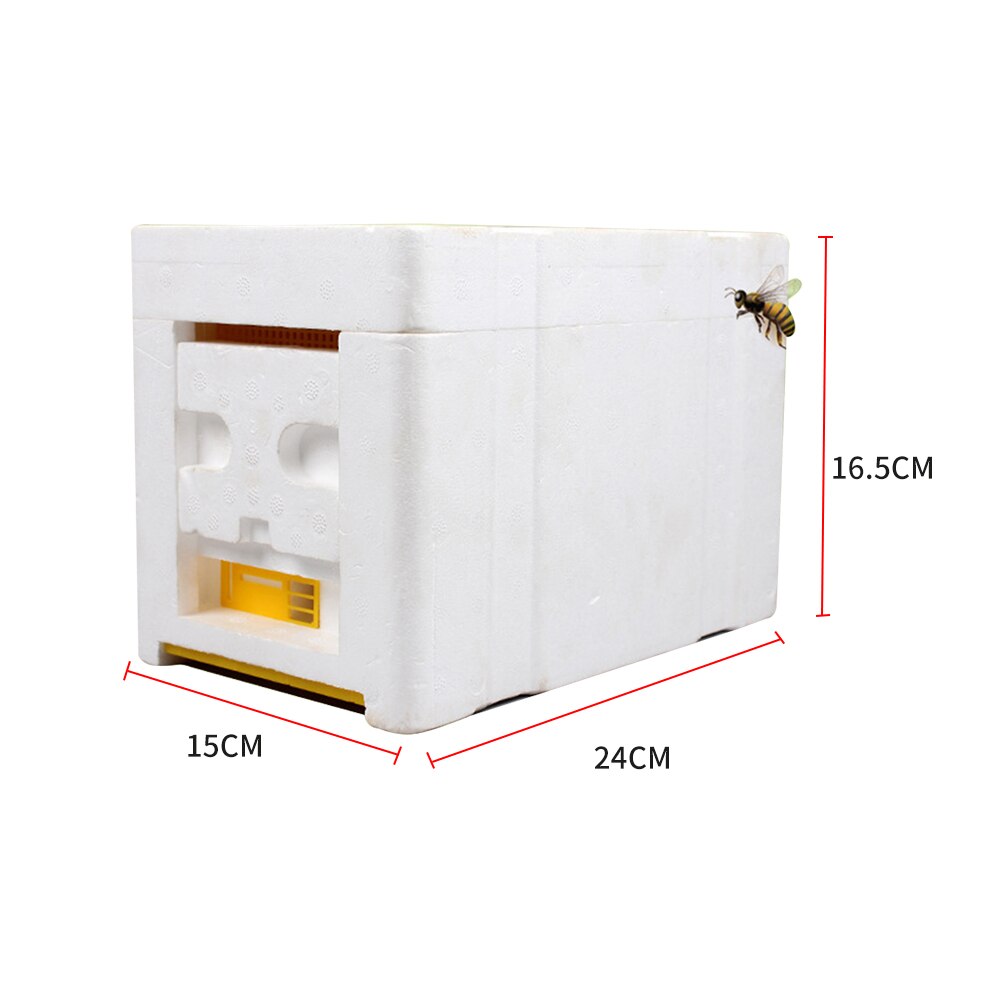 Bee Hive Beekeeping King Box Pollination Box Foam Frames Beekeeping Tool Kit Harvest Bee Hive Home Hive Case Beekeeper Tools