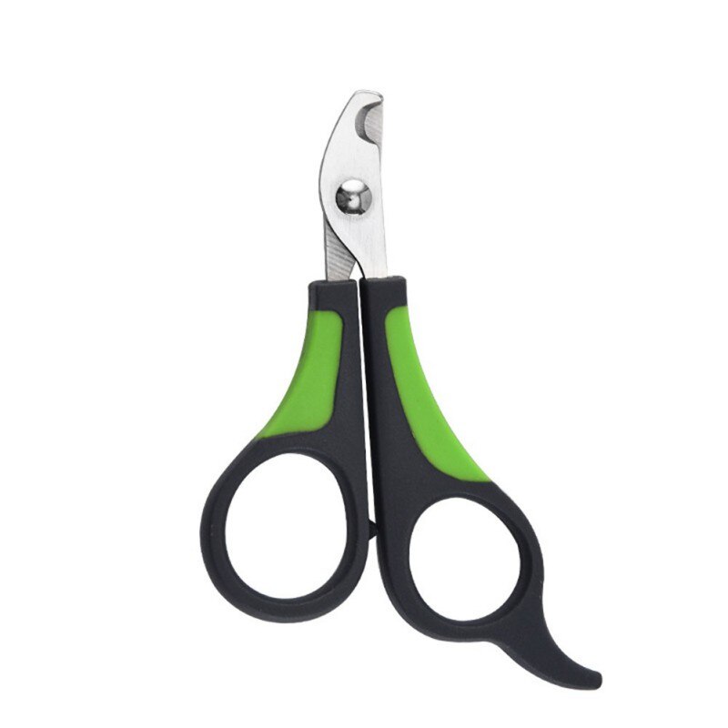 Coupe-ongles pour animaux domestiques, ciseaux de coupe pour chiens, chats, oiseaux, cochon d'inde, griffes, coupe-patte, oiseau, perroquet, cisaille les animaux: green