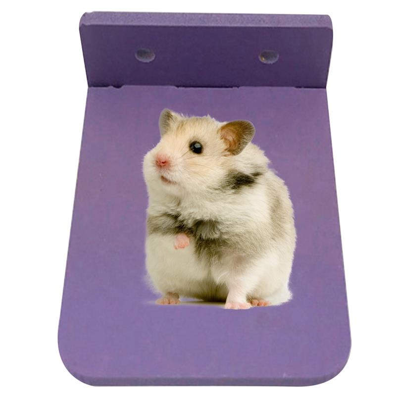 Plataforma de juegos de hámster de plástico, juguete para hacer ejercicio, soporte de madera para loros, suministros para mascotas pequeñas, 1 unidad: Purple