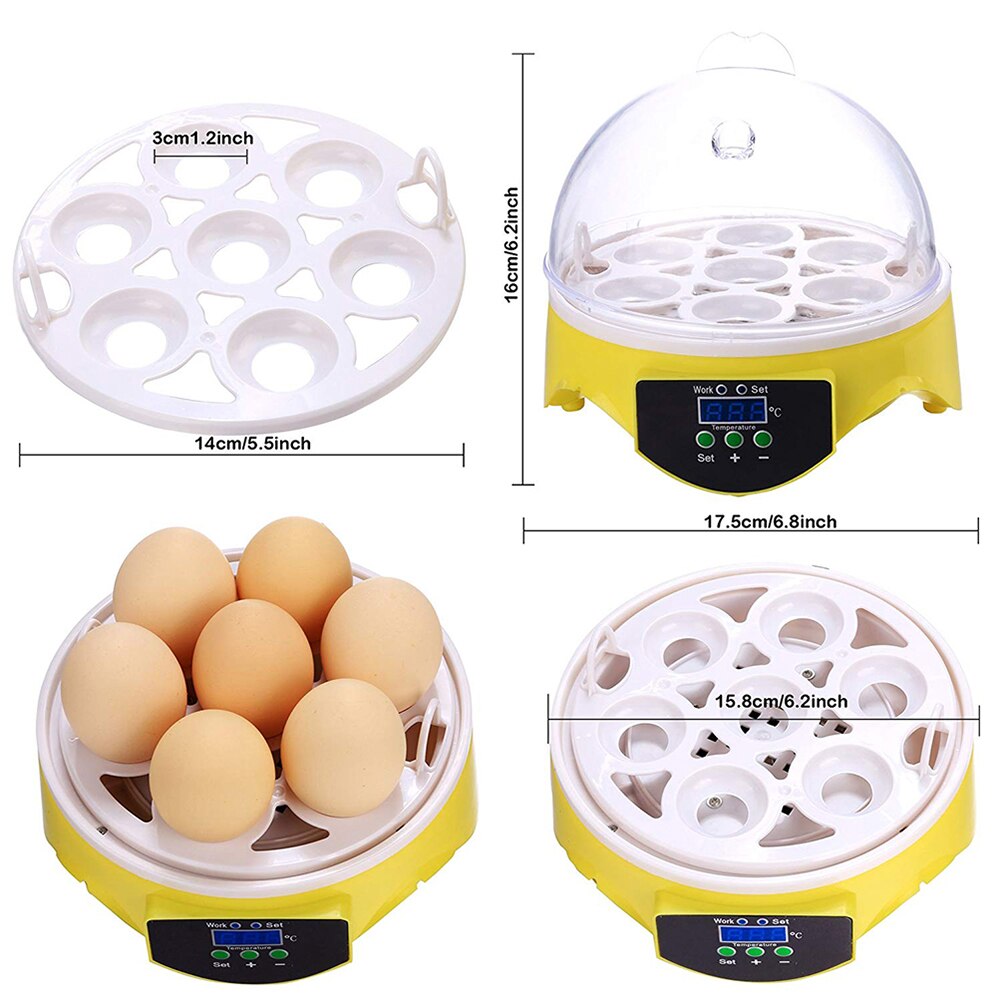 7 Eggs Incubator Poultry Incubator Brooder Digital Temperature Farm Hatchery Mini Egg Incubator Chicken Duck Bird Pigeon Brooder: US