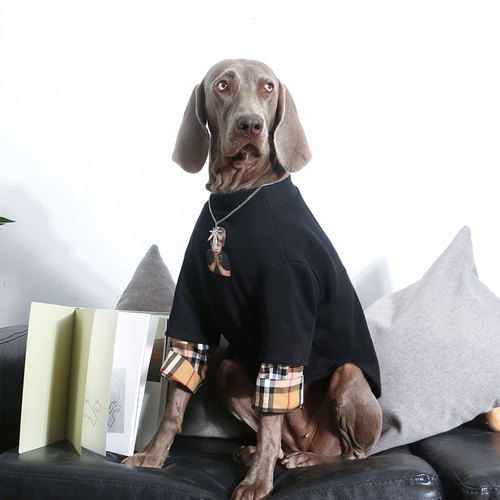 Large Dog Clothes Spring Autumn Winter T Shirt Labrador Golden Retriever Husky Doberman Thicken Warm Dog Clothes Dog Sweater: large dog 10 / Spring models