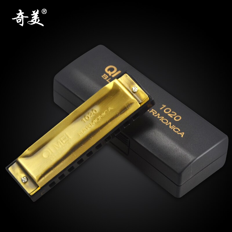 Blues Master Diatonische Harmonica 10 Holes Houder Unieke Melodie Mond Harp Harmonische Harmonica Enfant Folk Instrumenten BD50HH