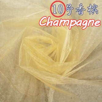 HAOCHU 5 m/partij 150 cm Breed Sheer Crystal Organza Tulle Roll 19 Kleur Shining Stof voor Bruiloft Decoratie Thuis Event Party Decor: champagne