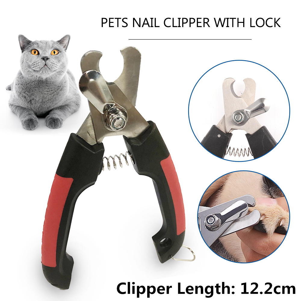 chat toilettage ciseaux acier inoxydable chat coupe-ongles chat fournitures accessoires pour animaux de compagnie: Pet Scissors 5