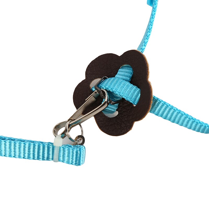 Anti-bite Flying Training Rope Parrot Bird Pet Leash Kits Ultralight Harness Leash Soft Portable Pet Playthings