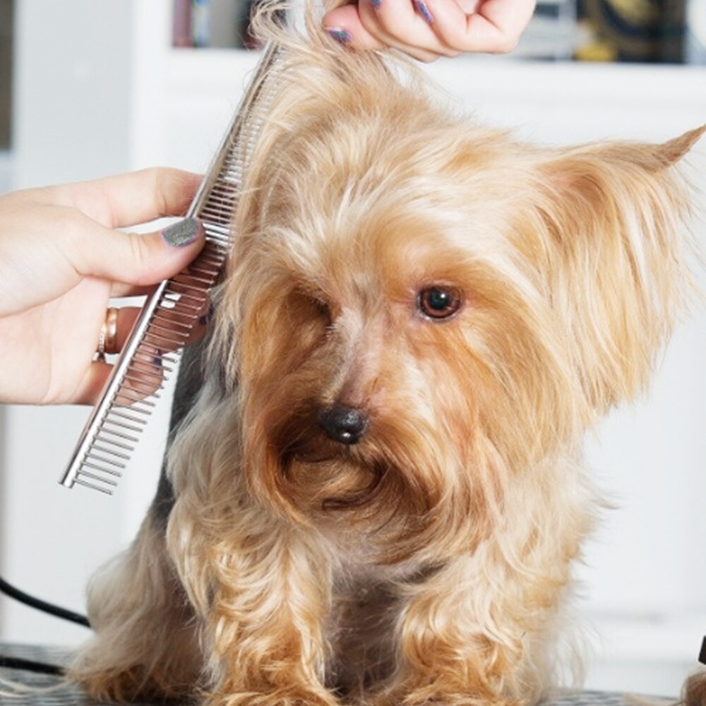 Kit de tijeras de peluquería para perros y gatos, tijeras de corte recto con dientes, hueso de pescado, 6"