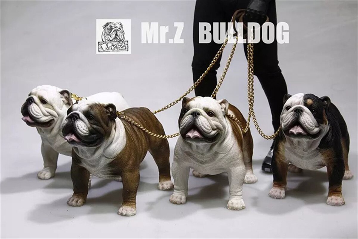 Mr.Z 1:6 Scale British Bulldog Bull Dog Pet Healing Figure Animal Model Toy Collector Desktop Decoration Adult