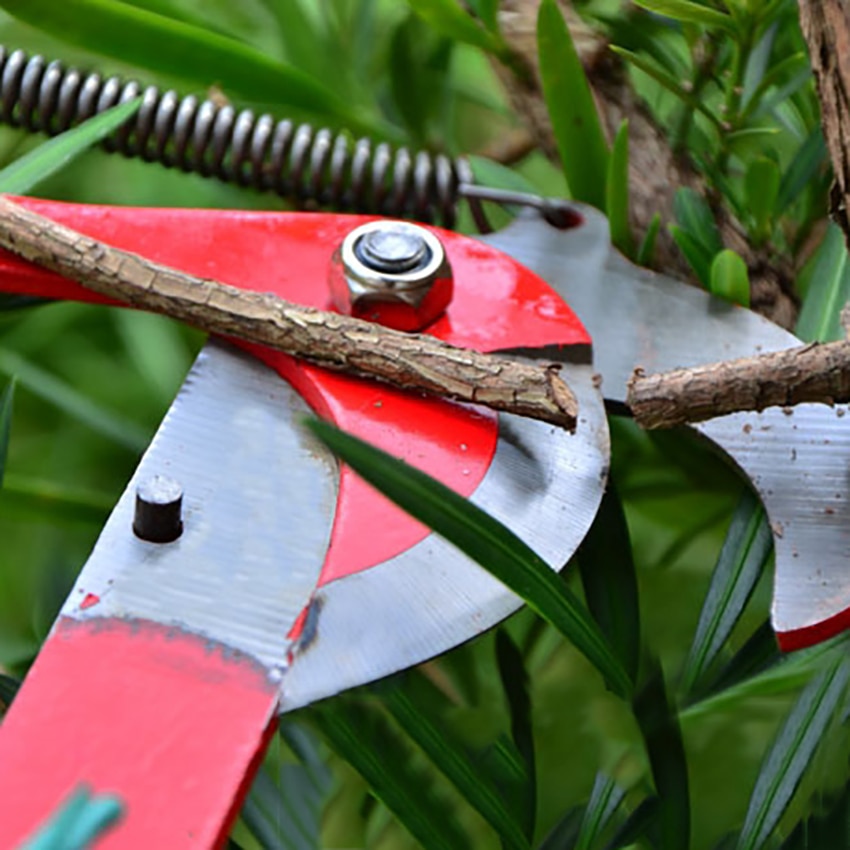 high altitude pruning shears tree trimmer branches cutter garden pruning scissor pick fruit tool with rope useful shear