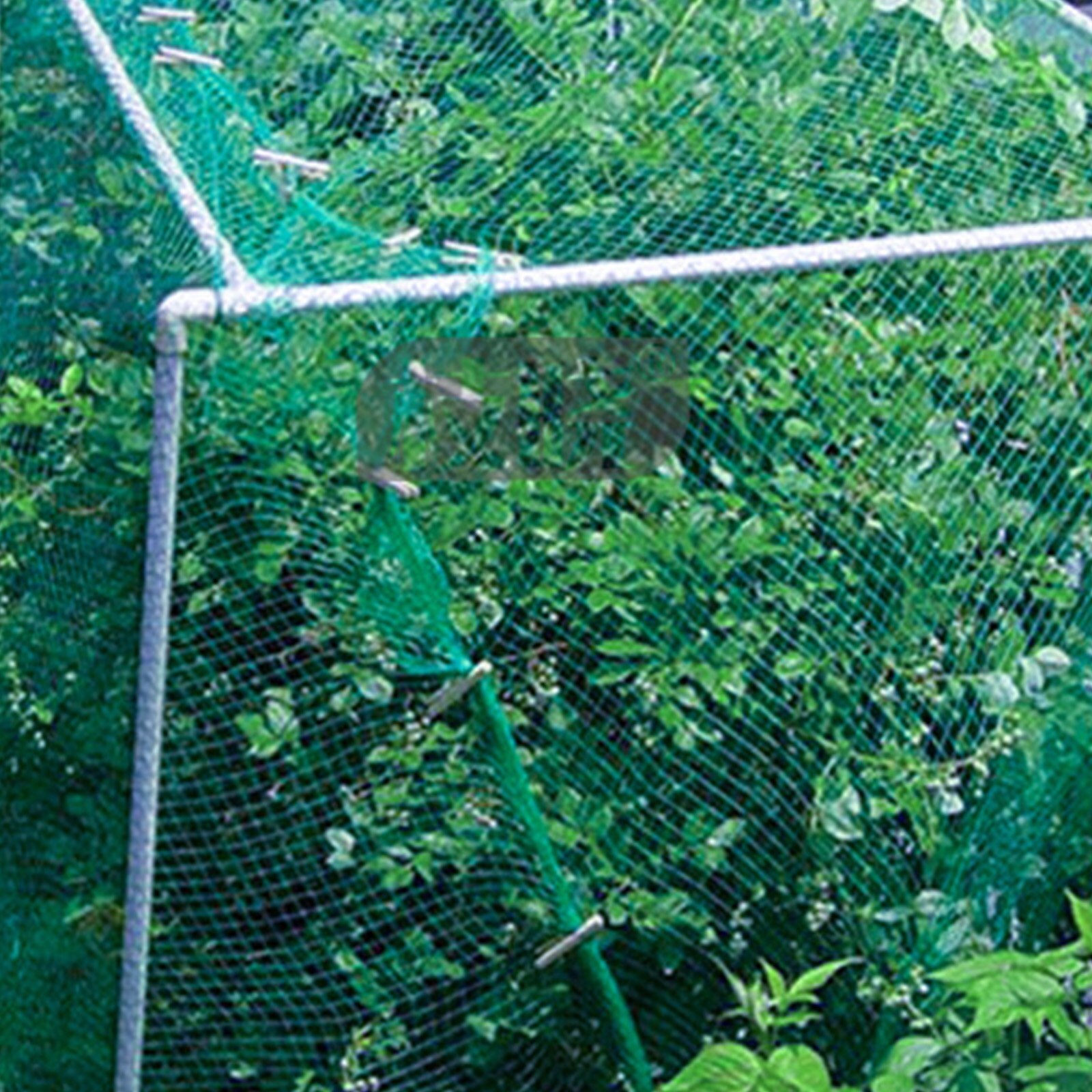 2m/5m/10m Garden fence Garden protection net Gardening net Orchard bird net Poultry farming fence