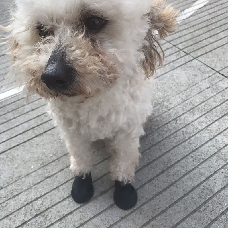 4 stuks/set regenschoenen voor huisdieren, snoepkleurige rubberen waterdichte antislipschoenen voor honden, buitenlaarzen voor de verzorging van poten van huisdieren, antislipschoenen voor puppy's