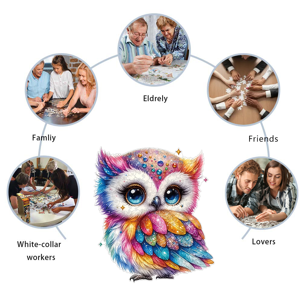 Rainbow gemstone owl wooden puzzle for adults, magic puzzle toy with high difficulty level, christmas gifts for birthday holidays