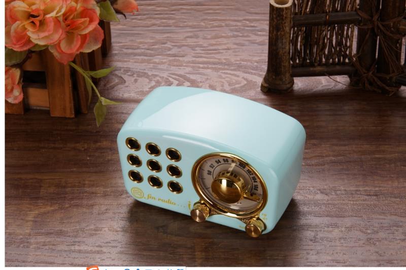 REDAMIGO przenośne Radio FM głośnik wzmacniacz Bluetooth odtwarzacz kart TF R919