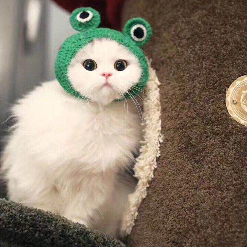 Chapeau tricoté à la main pour animaux de compagnie, chapeau pour chien, chat, grenouille, joli , accessoires pour petits animaux de compagnie