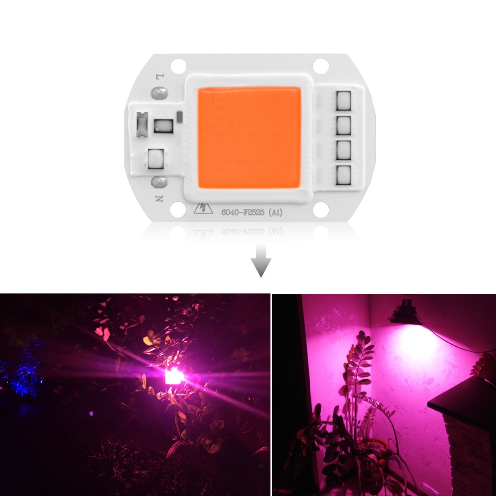 Led grow cob chip fyto lampa fullt spektrum  ac220v 110v 10w 20w 30w 50w för inomhusplantor plantor växa och blomma tillväxt fitolamp