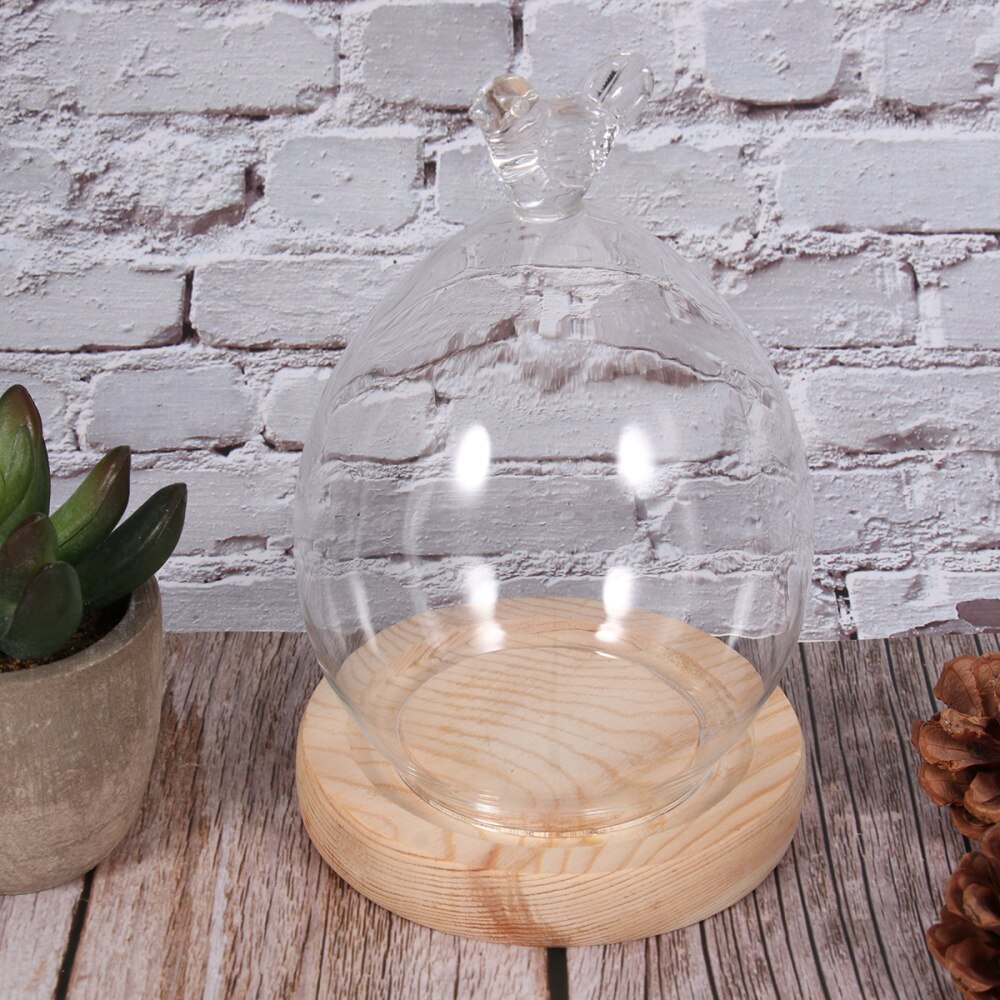 Dried Flower Display Glass Cover Preserved Flower Glass Cover DIY Transparent Glass Cover Loving Heart Glass Dome with Wood Base: Picture 3