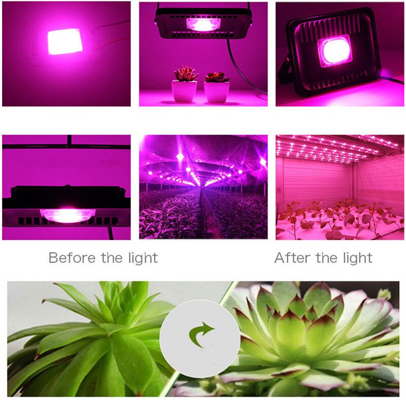 20W 30W 50W COB LED Grow Light Chip AC 220V Full Spectrum Phyto Lamp 280nm-840nm Plant Seedling Flowers Growth Lamp Beads