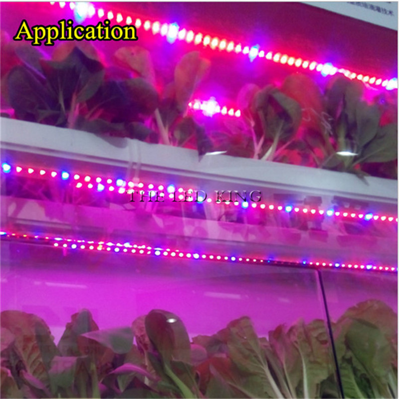 LED Wachsen licht Gesamte Spektrum 1M 4M 5M LED Streifen 5050 LED Blume Pflanze Phyto Wachstum lampen für Gewächshaus Hydrokultur Pflanze Wächst