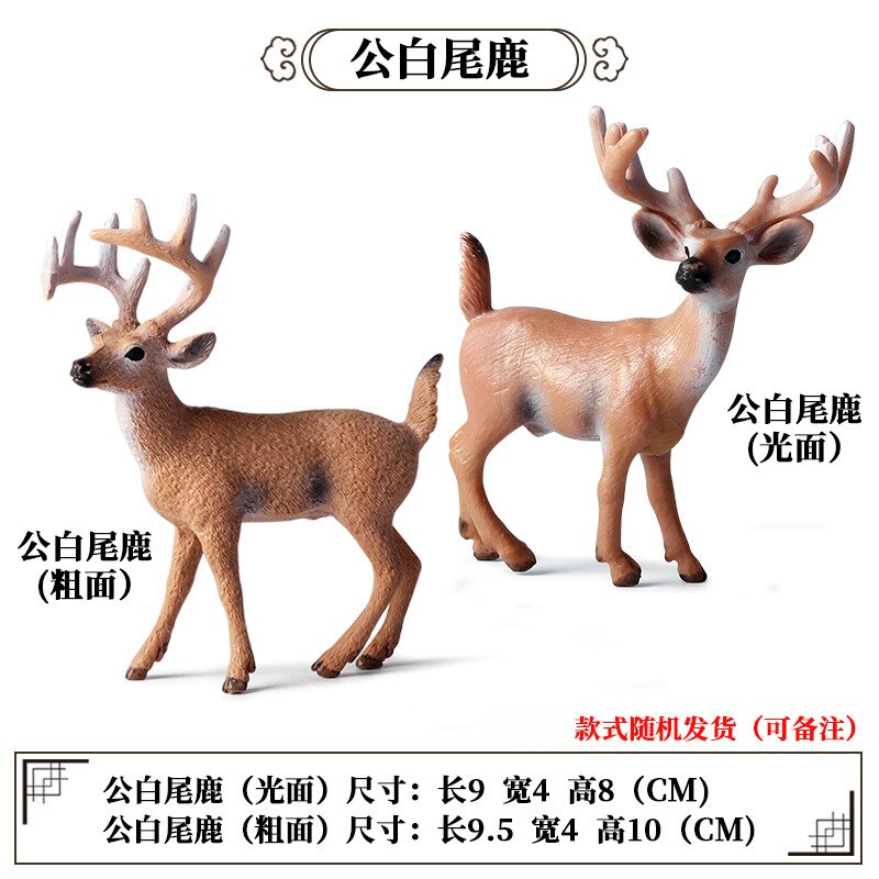 2 Stuks Wild Jungle Zoo Animal Model Actiefiguren Leeuw Tige Rhino Cheetah Collection Beeldjes Educatief Speelgoed Voor Kinderen: 2pcs Male deer