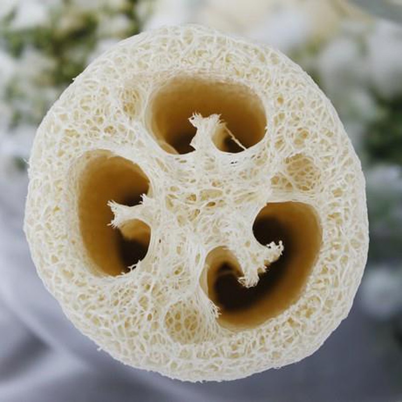 5 Pieces Natural Loofah Luffa Loofa Bath Shower Sponge Spa Body Scrubber Horniness Remover Bathing Massage Sponge GYH