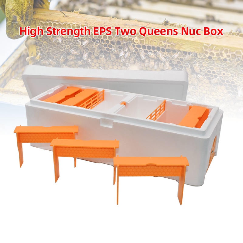 High Strength EPS Multi-Functional Queen Bee Hive Plastic Foam Two Queens Nucs Mini Mating Beehive Queen Rearing Nuc Beehive