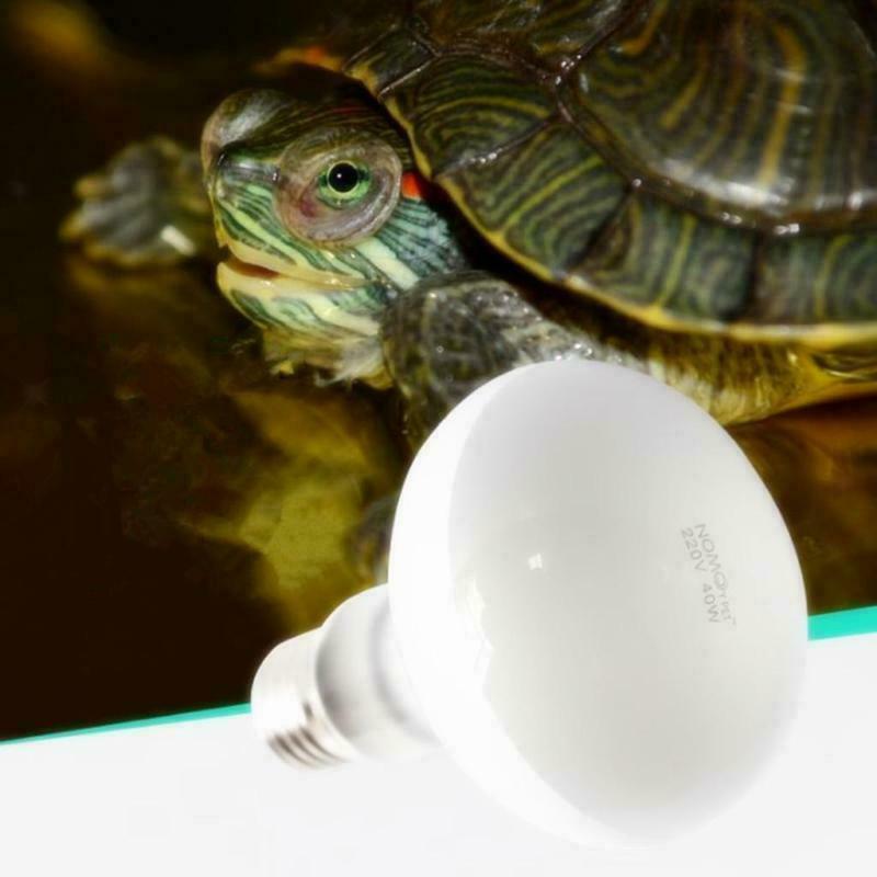 25-100W Intense Basking Spot Light Bulb Reptile Light Lamp Sun Heat Daylight